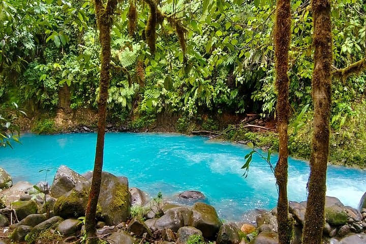 Rio Celeste & Sloth Sanctuary: 4-in-1 Private Rainforest, Volcano and Blue River Tour from La Fortuna photo 3