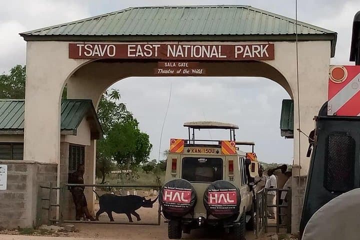 2-Day Tsavo East Safari: Big Five Game Drives & Maasai Village Visit photo 3