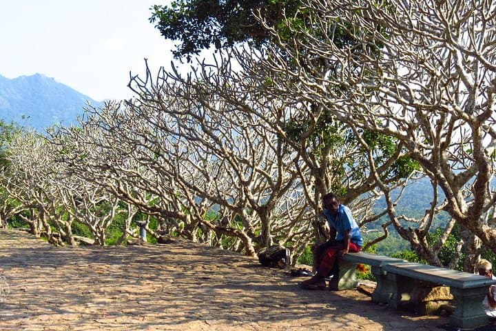 Sigiriya and Dambulla Day Trip from Trincomalee: Lion Rock, Cave Temples & Spice Gardens photo 3