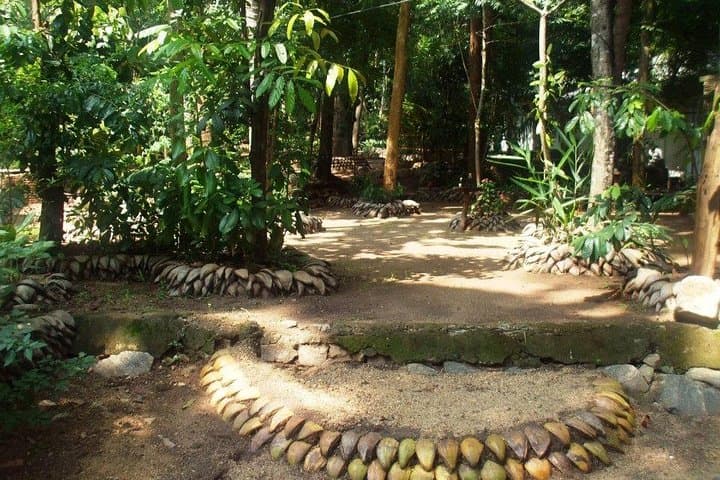 Kandy Transfer via Dambulla Cave Temple & Ayurvedic Herbal Garden photo 5