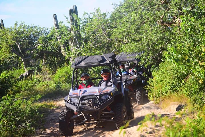 Off-Road the Migrino Desert: Cabo Triple UTV Tour to Pacific Beaches photo 4