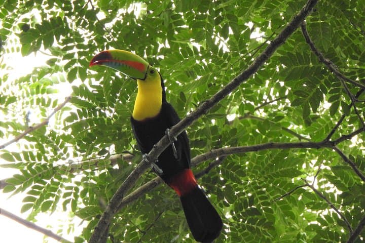 Horseback Riding in San Basilio de Palenque — Day Trip from Cartagena photo 5