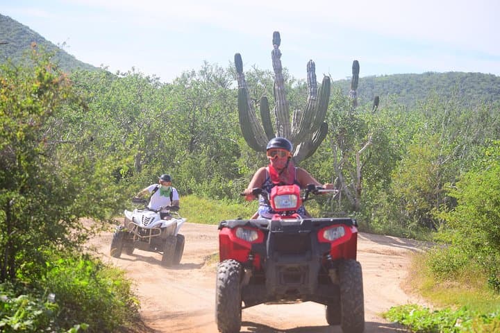 Cabo Real Baja 1000 Tour — Single ATV Desert-to-Beach Off-Roading photo 2