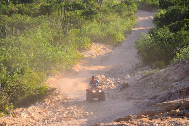 Cabo Real Baja 1000 Tour — Single ATV Desert-to-Beach Off-Roading photo 6