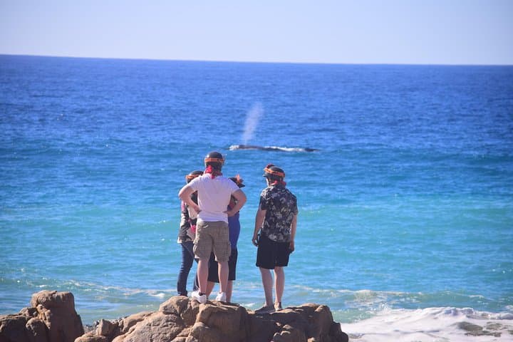 Cabo Real Baja 1000 Tour — Single ATV Desert-to-Beach Off-Roading photo 5