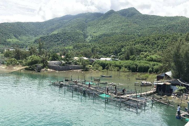 Da Nang Hai Van Pass & Lang Co Beach — Full-Day Scenic Tour photo 4