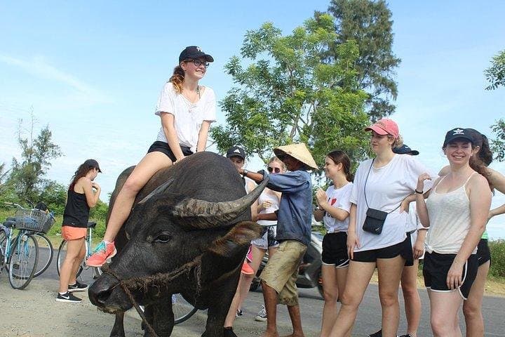 Hoi An Bike & Cooking Half-Day: Tra Que Village to White Rose Dumplings photo 6