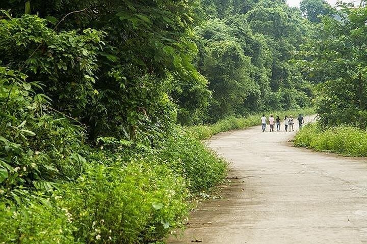 Cuc Phuong National Park Eco-Adventure: Day Trek, Primate Rescue & Cave of Early Man from Hanoi photo 3