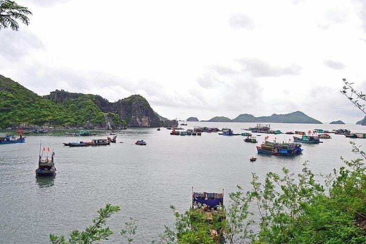 Cat Ba Island Full-day Escapade: Hike Ngu Lam, Explore Quan Y Cave & Beach Time photo 5