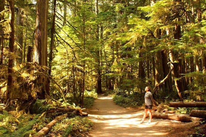 Best of Olympic National Park Day Tour from Seattle — All-Inclusive Small-Group Experience