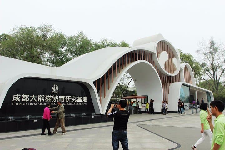 Bullet Train Day Trip: Leshan Giant Buddha & Chengdu Pandas from Chongqing photo 2