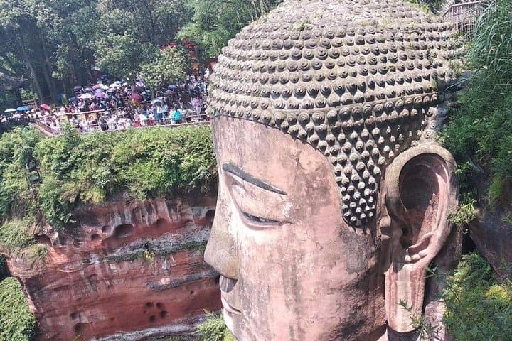 Bullet Train Day Trip: Leshan Giant Buddha & Chengdu Pandas from Chongqing photo 4