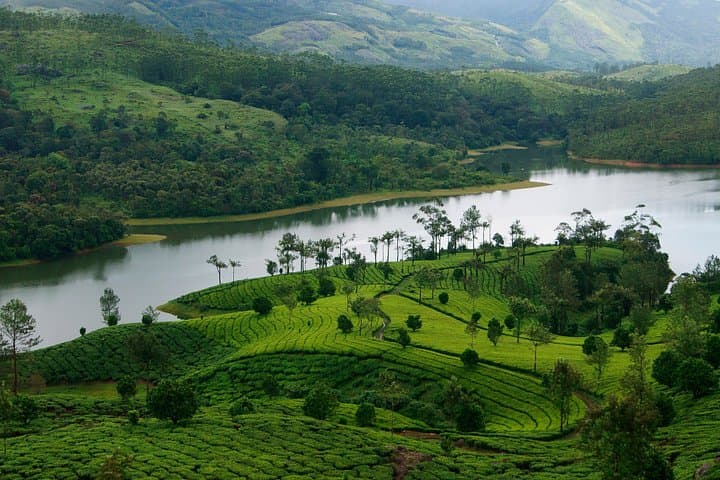 Best of Kerala 8-Day Tour: Kochi, Munnar, Thekkady & Backwaters photo 3