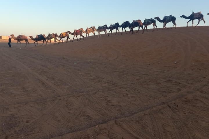 3-Day Merzouga Desert Tour from Marrakech — Camel Treks, Sunrise & Berber Camp photo 3