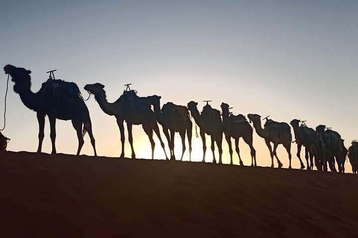 3-Day Merzouga Desert Tour from Marrakech — Camel Treks, Sunrise & Berber Camp photo 5