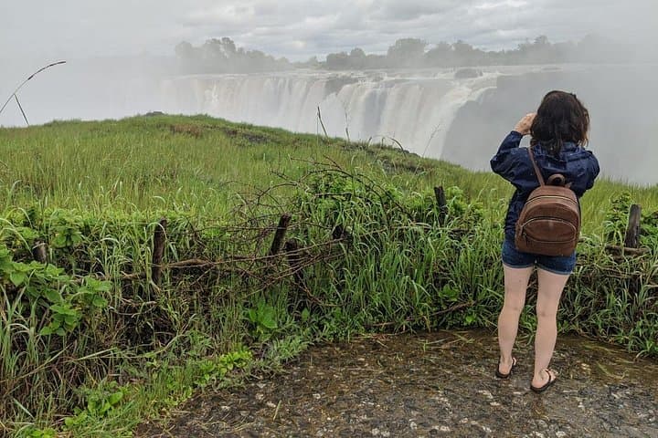 Victoria Falls Dual-Side Day Trip from Kasane: See Zambia & Zimbabwe in One Day photo 4