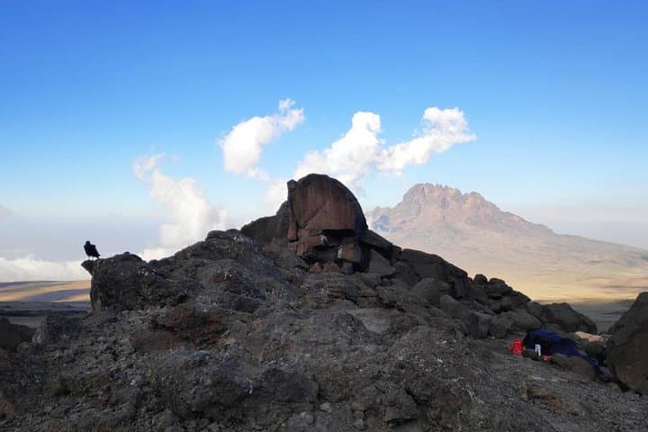 7-Day Machame Route Climb of Mount Kilimanjaro: Complete Guide photo 2