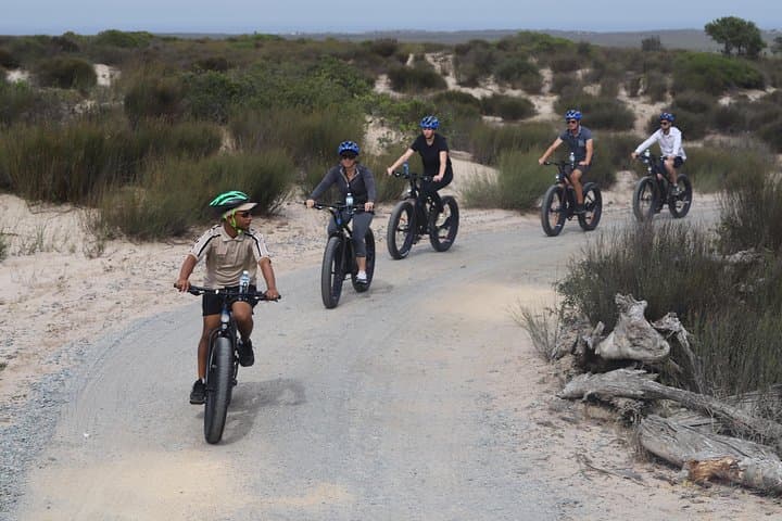 E-Bike Safari Near Cape Town: Full-Day Wildlife Tour in West Coast National Park photo 2