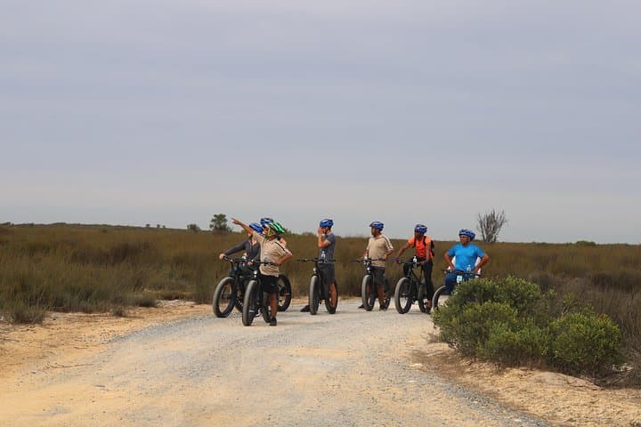 E-Bike Safari Near Cape Town: Full-Day Wildlife Tour in West Coast National Park photo 3