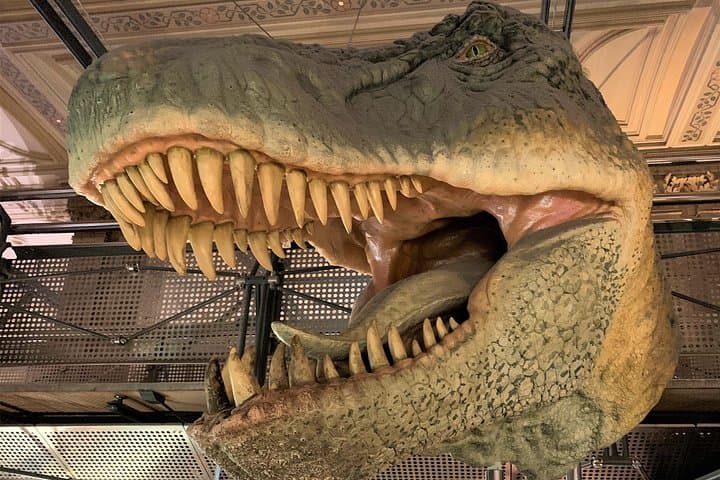 Family-Friendly Dinosaur Adventure at London Natural History Museum photo 1