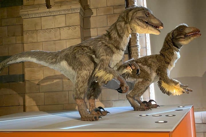Family-Friendly Dinosaur Adventure at London Natural History Museum photo 3