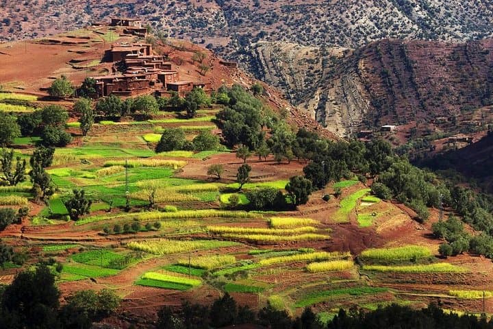 Imlil Valley Day Trip: Mule Ride, Berber Lunch and Atlas Mountain Walks