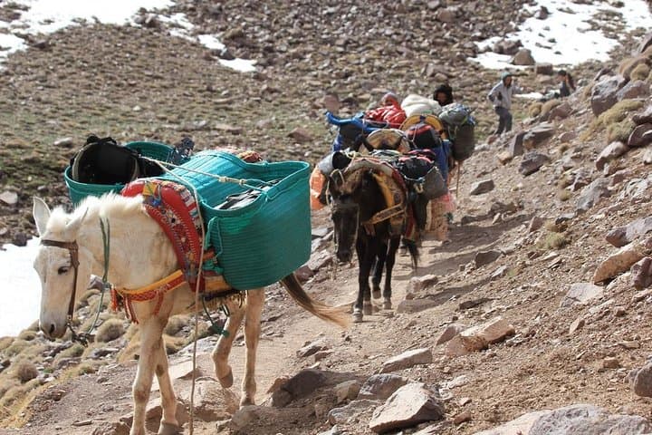 Imlil Valley Day Trip: Mule Ride, Berber Lunch and Atlas Mountain Walks photo 4