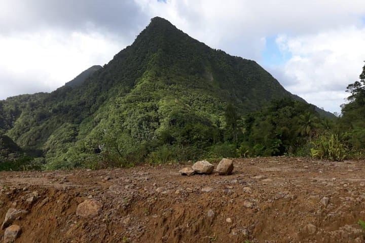 St. Lucia Rain Forest Jungle Tour — Parrots, Waterfall Swim & Atlantic Coast Views photo 2