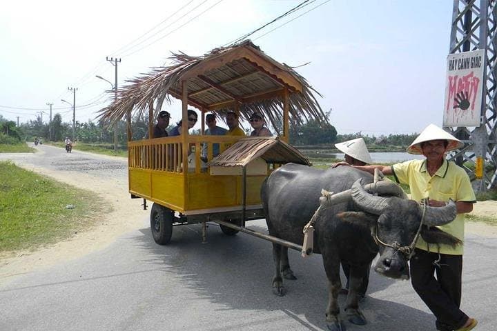 Half-Day Private Buffalo Cart Countryside Tour from Siem Reap photo 4