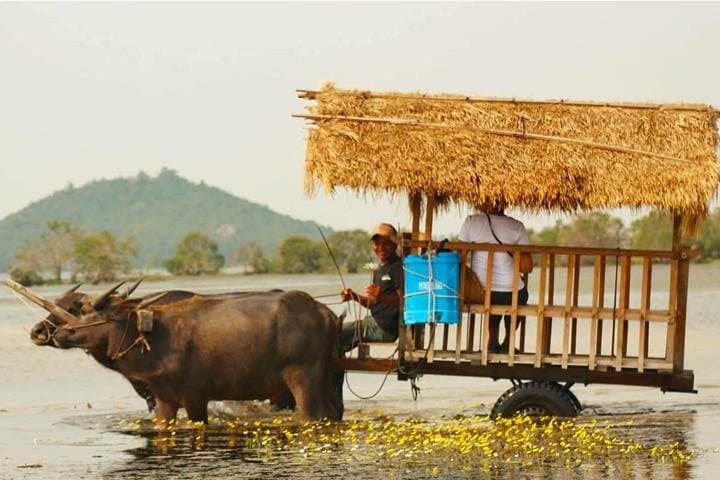Half-Day Private Buffalo Cart Countryside Tour from Siem Reap photo 5