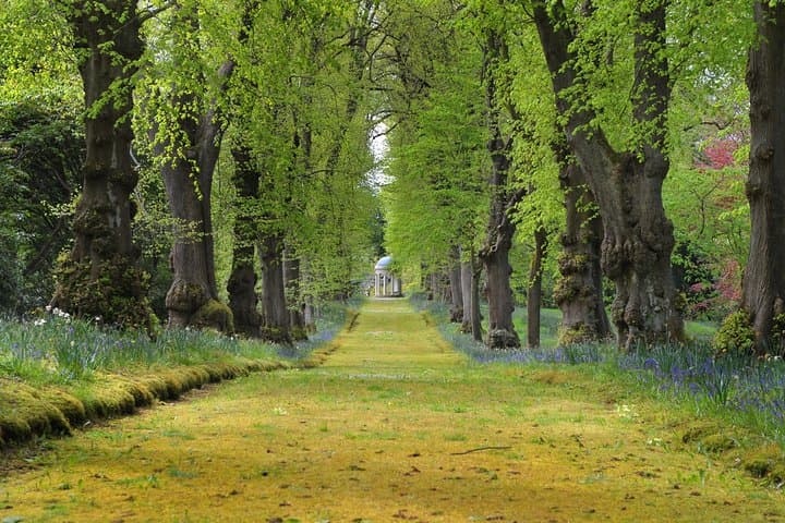 Hillsborough Castle Gardens: Ticketed Walk Through Royal Walled Gardens photo 3
