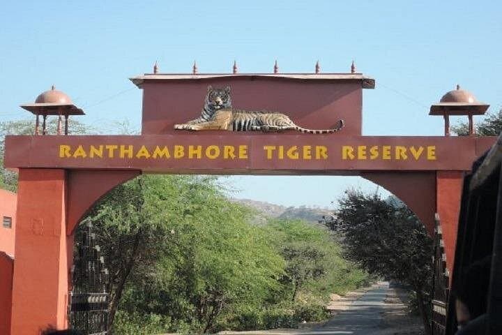 Jeep Safari at Ranthambore National Park — Tiger Safaris from Jaipur photo 1