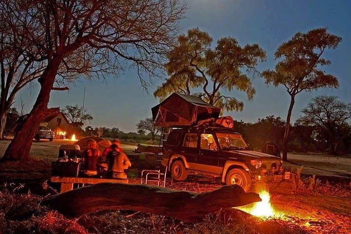 Jeep Safari at Ranthambore National Park — Tiger Safaris from Jaipur photo 2
