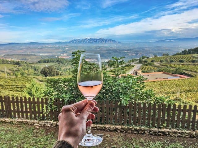 Montserrat Day Trip: Private Montserrat Tour, Penedès Winery Lunch & Cava Tasting photo 3