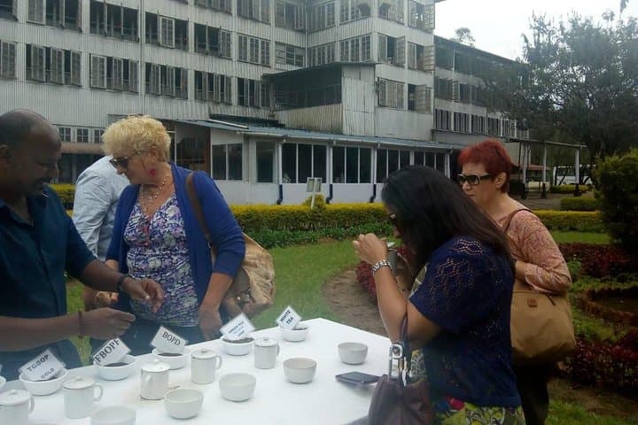 Munnar Tea-Trail Tour: Walk the Working Tea Gardens and Lockhart Museum photo 5