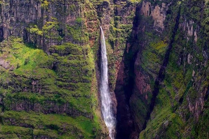 Four-Day Simien Mountains Trek: Ras Dejen, Gelada Baboons & Walia Ibex