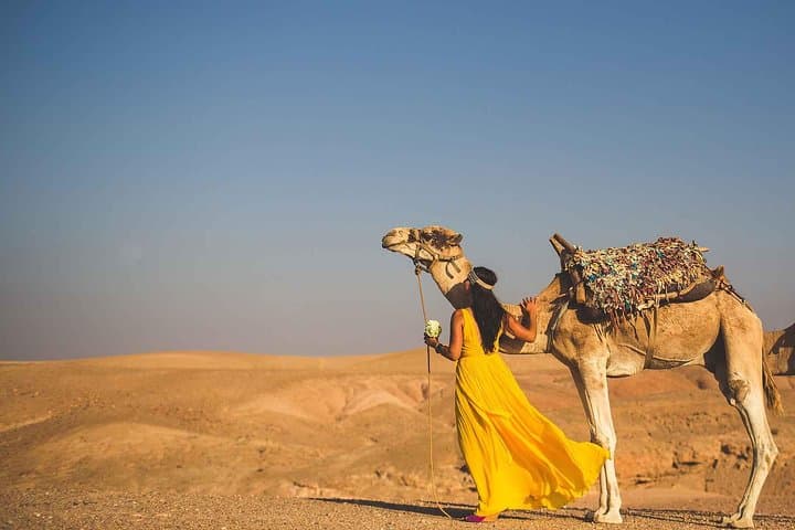 Agafay Desert and Atlas Mountains Day Trip with Camel Ride from Marrakech