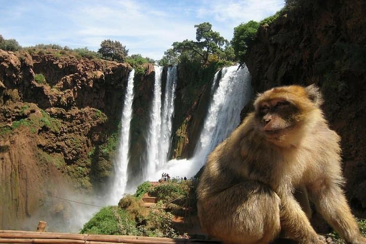 Ouzoud Waterfalls Day Trip from Marrakech — Guided Hike & Boat Experience photo 3