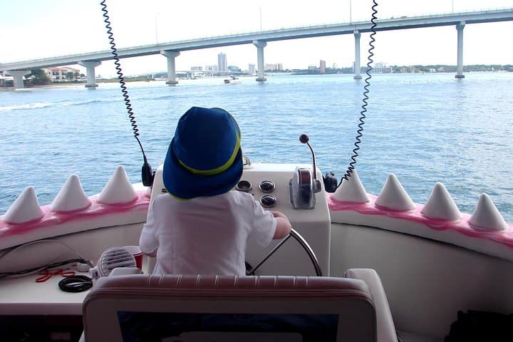 Mega Bite Dolphin Tour: High-Energy Clearwater Beach Dolphin Cruise photo 6