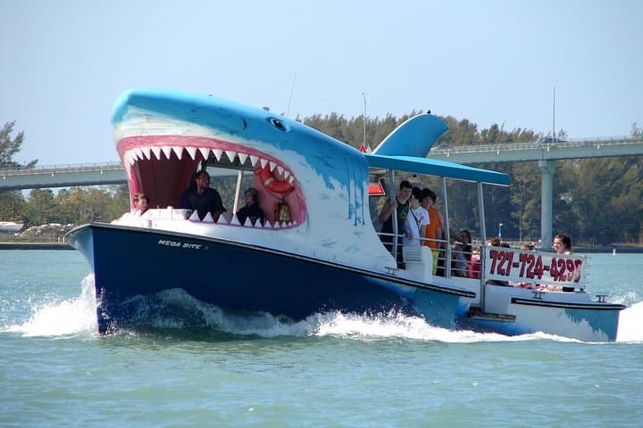 Mega Bite Dolphin Tour: High-Energy Clearwater Beach Dolphin Cruise photo 5