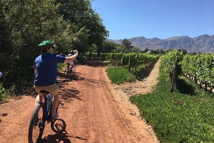 Franschhoek Wine Valley Cycle & Tasting Tour — 4-Hour Shared Ride