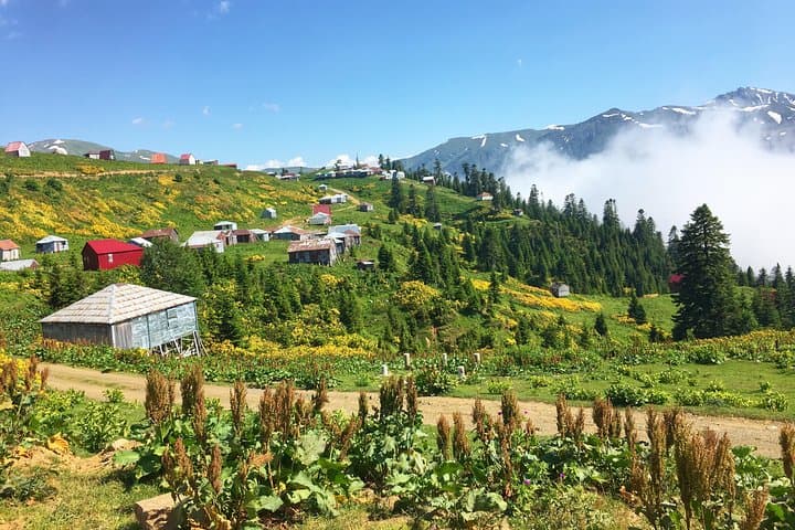Guria & Gomismta: A 2-Day Private Tea-Route and Mountain Escape photo 2