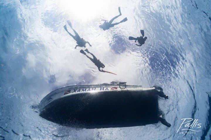 4-Day Diving Package: Playa del Carmen, Cozumel & Cenote Caverns photo 4