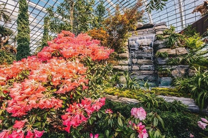 Gardens by the Bay E-Tickets: Skip-the-Line for Cloud Forest & Flower Dome photo 5