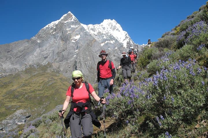 Huayhuash Mini Trek: 4-Day Short Circuit to Jahuacocha & Sambunya Pass photo 2