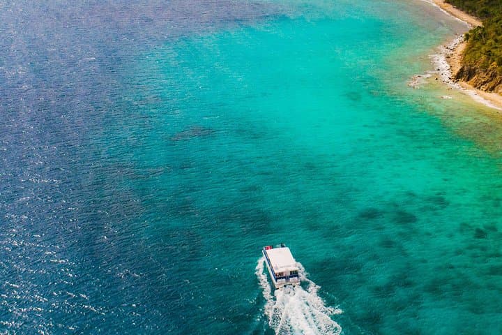 Snorkel the Virgin Islands National Park: Half-Day Boat Excursion from St. Thomas photo 4