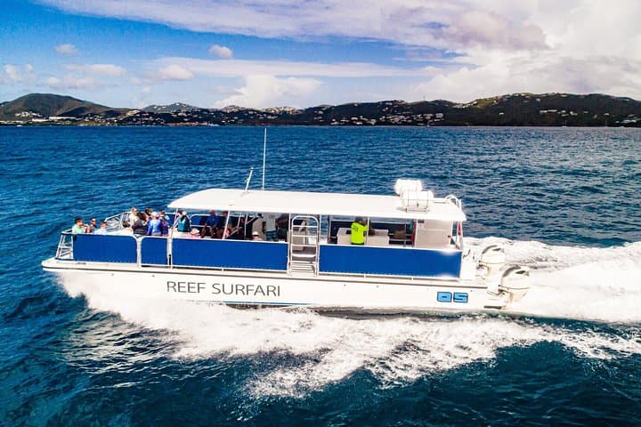 Snorkel the Virgin Islands National Park: Half-Day Boat Excursion from St. Thomas photo 6