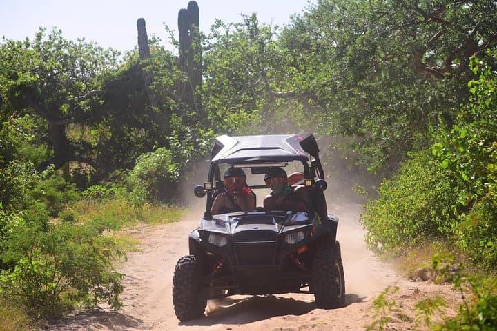Cabo Candelaria UTV Adventure: Off-Road the Baja 1000 Trails photo 6