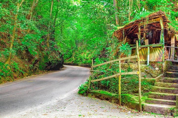 Ocho Rios Countryside Drive and Dunn's River Falls Climb photo 2