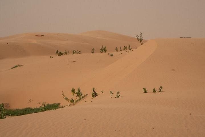 Nouakchott Explorer: Private Culture and Coast Tour in Mauritania photo 4
